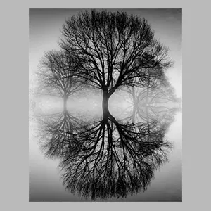 Ansel Adams