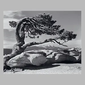 Ansel Adams