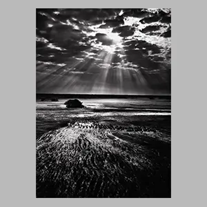Sebastiao Salgado