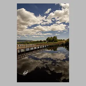 'Las Tablas de Daimiel' Ciudad Real - España 2025. © JGM
