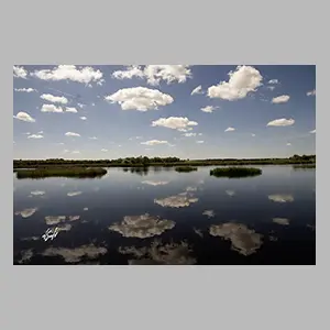 'Las Tablas de Daimiel' Ciudad Real - España 2025. © JGM