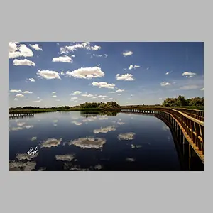 'Las Tablas de Daimiel' Ciudad Real - España 2025. © JGM