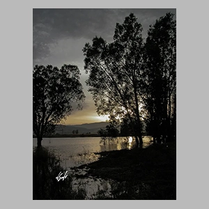 Ocaso en la laguna. Laguna de Padul - Granada Foto de JGM