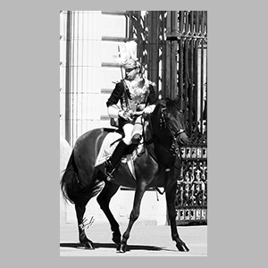 Guardia del Palacio Real - Madrid