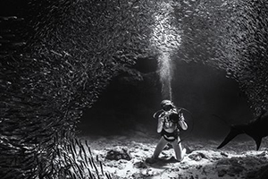 'Underwater Photographer of the Year' 2019 