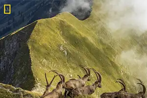 Mención honorífica - Naturaleza. 